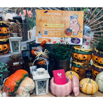 plants for Halloween Party!!　《　ハロウィンデコレーションコンテスト　》