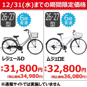 【12/31（水)までの期間限定価格】
