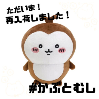 帰ってきた！かぶとむし！